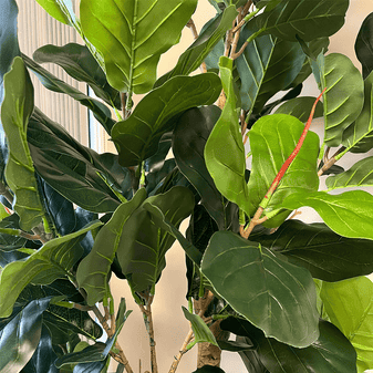 Artificial Fiddle Fig Tree (8 ft)